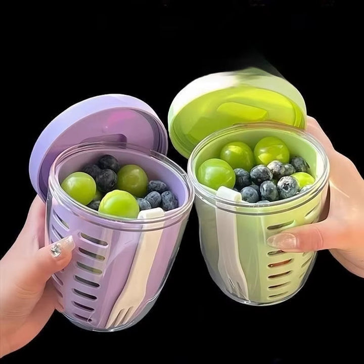 Portable Fruit Box – Fresh-Keeping Sealed Storage voor Koelkast